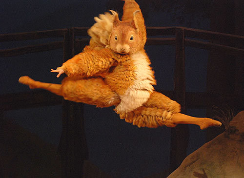 동화를 발레로 영국 로열 발레단의 ＜ tales of beatrix potter ＞ | 인스티즈