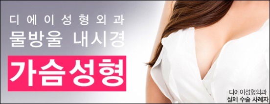 디에이시스템 이미지
