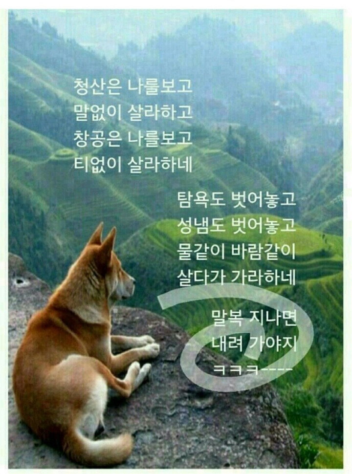 복 이미지