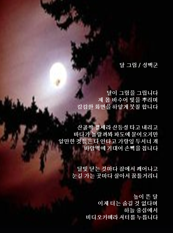 달그림 이미지