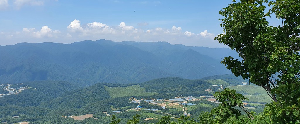 정상 정자 이미지