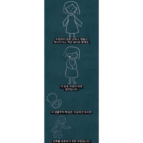 생리는 임신과 출산을 준비하기 위해 하는 것이다 | 인스티즈