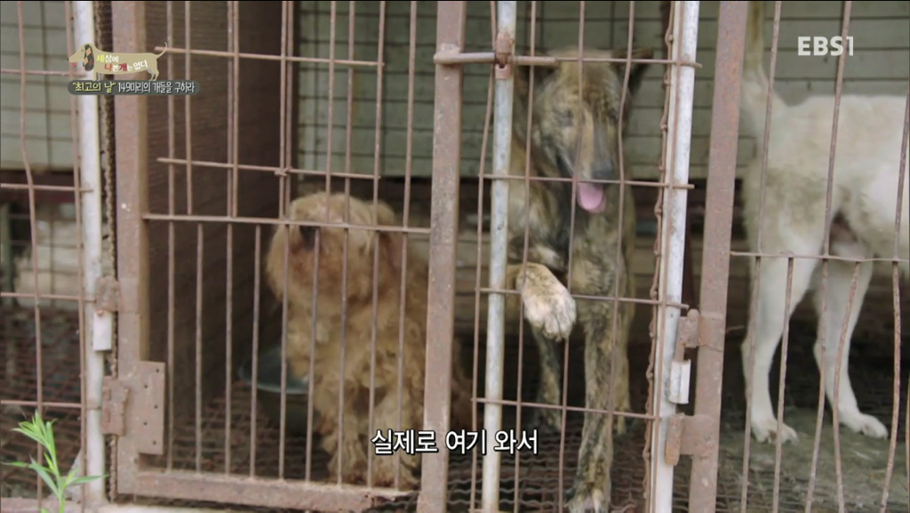 어떻게 그럴 수가 있을까요? 어떻게 사람을 그렇게 좋아할 수 있죠? | 인스티즈