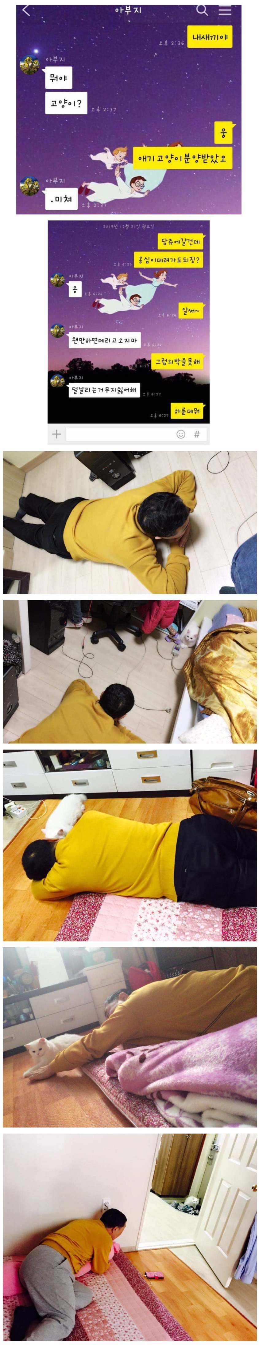 고양이 키우는걸 반대하는 아버지.jpg | 인스티즈