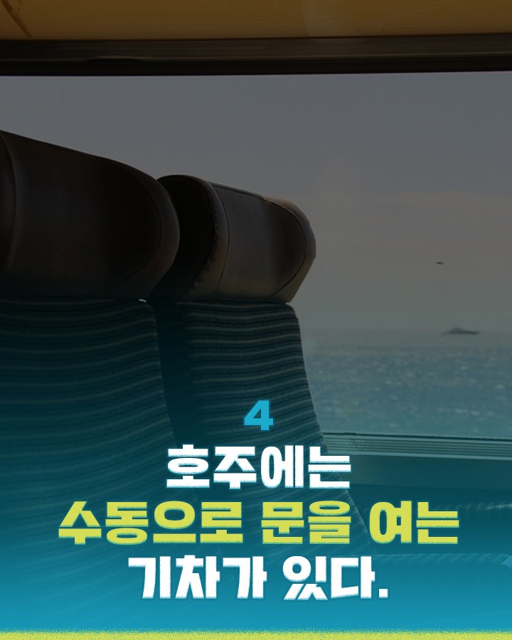 해외 문화충격 에피소드 | 인스티즈