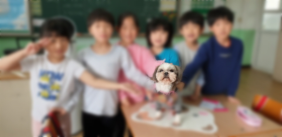 복산초등학교 이미지