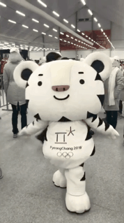 선수들한테 애교부리는 수호랑.gif | 인스티즈