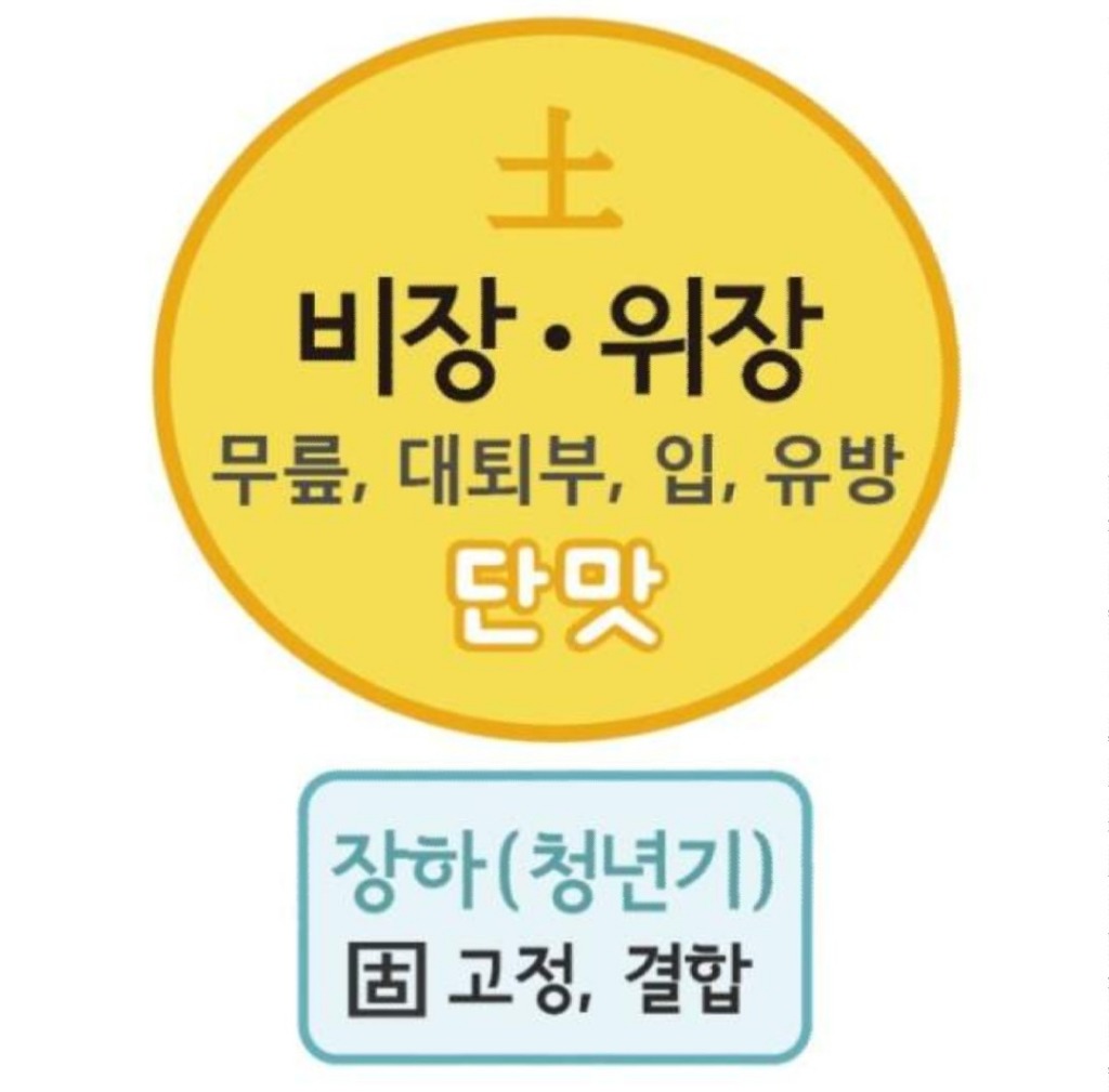 비장 이미지