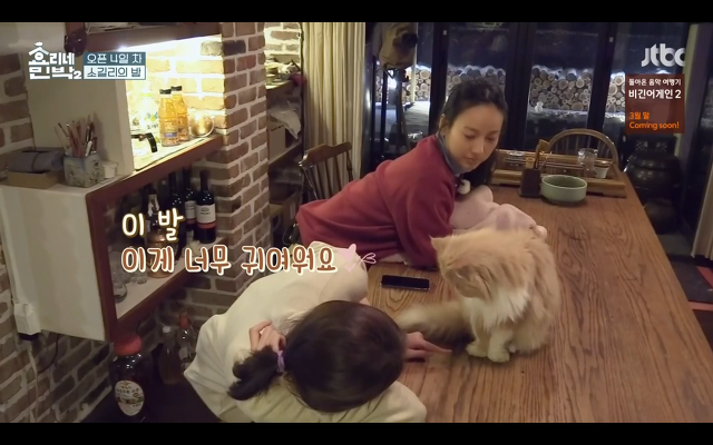 [효리네민박] 윤아와 눈인사 잘해주는 고양이 삼식이ㅠㅠ.gif | 인스티즈