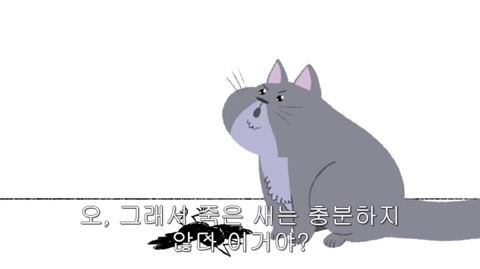 [동물] 고양이의 속마음 | 인스티즈