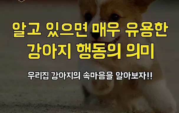 알아두면 언젠가는 쓸수있는 좋은 몇가지 정보들 | 인스티즈