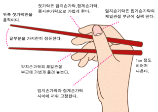올바른 젓가락질 방법... JPG | 인스티즈