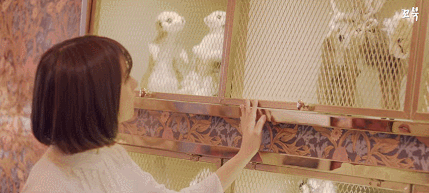 여자친구 핑거팁 MV.gif | 인스티즈