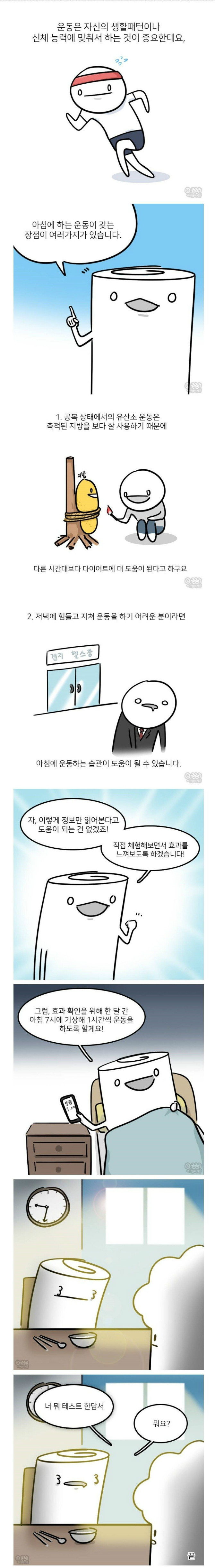 아침에 하는 운동이 효과가 매우 좋다 | 인스티즈