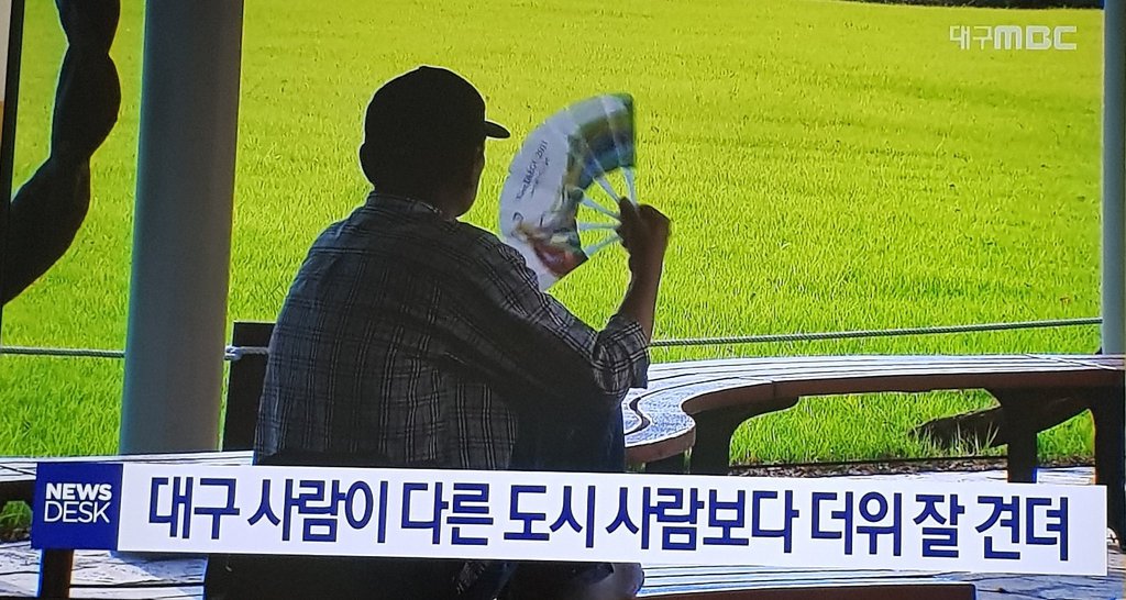 대구사람 진화중.jpg | 인스티즈