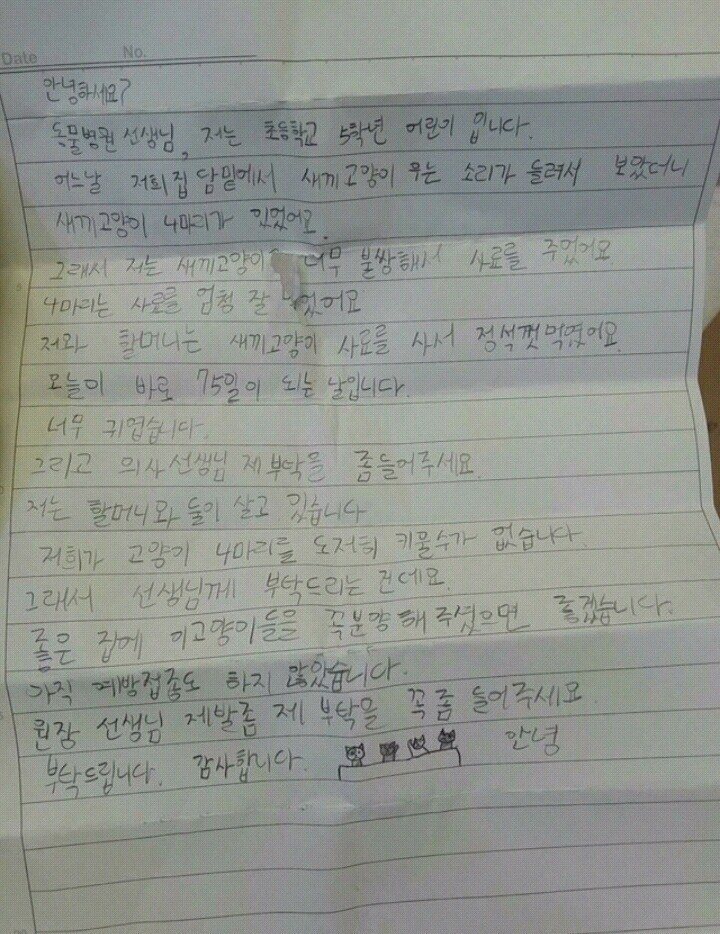 고양이 버린 사연 | 인스티즈