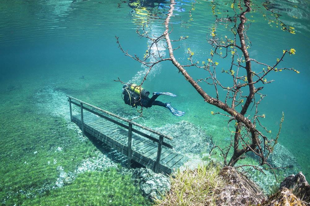 봄이 되면 물에 잠기는 공원 | 인스티즈