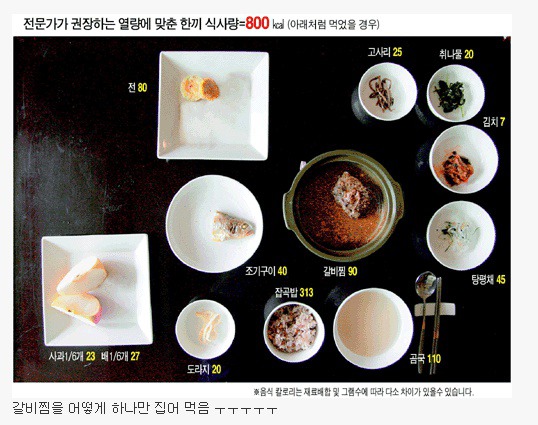 전문가들이 권장하는 명절 한끼 식사량 | 인스티즈