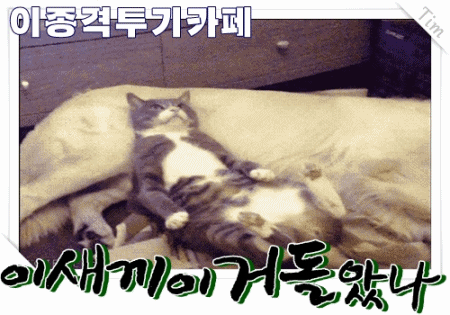 강호동이 화나면 | 인스티즈