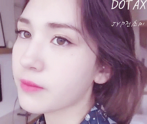 보이지도 들리지도 않는 개.JPG | 인스티즈