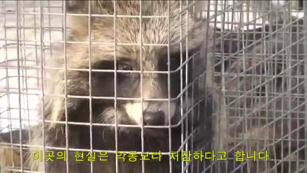 모르고 쓰는거면 몰라도 알면서 쓰는 사람들은 솔직히 인간으로 존중 못하겠는 부분.jpg (혐오주의) | 인스티즈