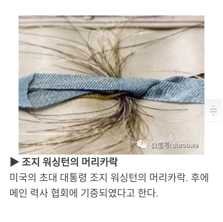 위인들의 남아있는 신체 일부 | 인스티즈