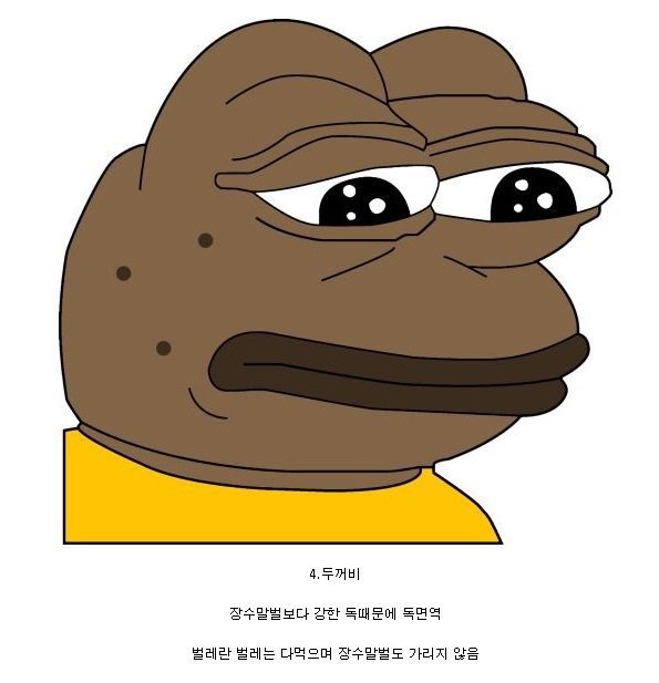 장수말벌의 천적.jpg | 인스티즈