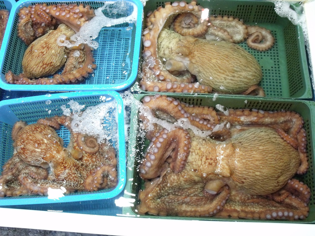 중.도매인 이미지