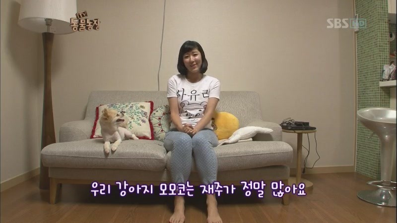 동물농장 최초 사기꾼.JPG | 인스티즈
