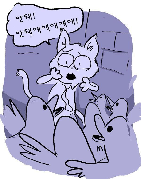 길잃은 고양이의 최후 ㅠㅠ | 인스티즈