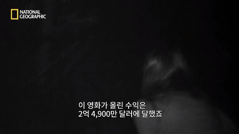 1999년, 새로운 장르의 공포영화가 인터넷을 통해 홍보되다 | 인스티즈