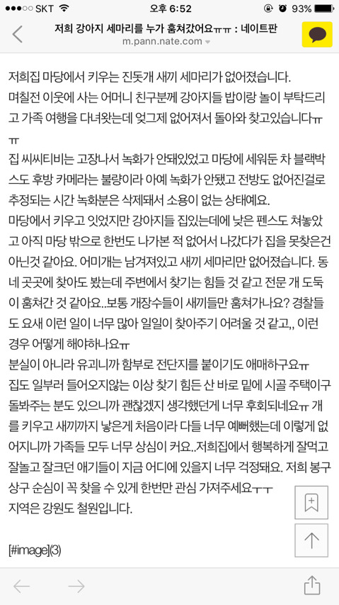 강아지 세마리를 누가 훔쳐갔습니다 도와주세요ㅠㅠㅠ | 인스티즈
