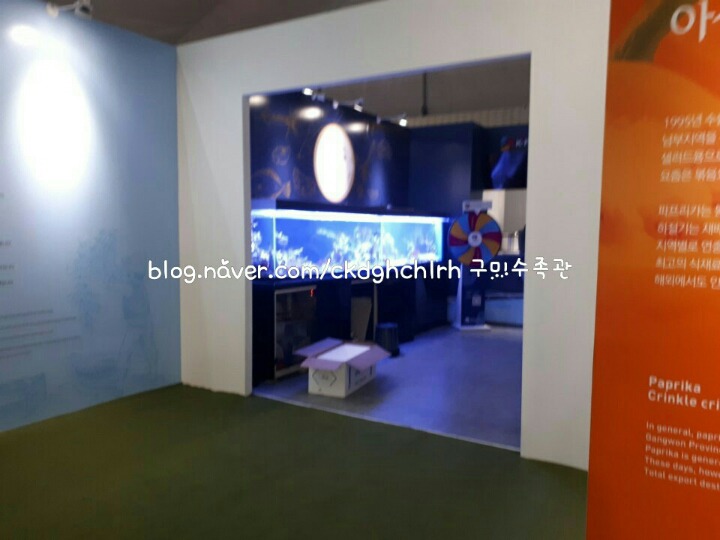 평창식품 이미지