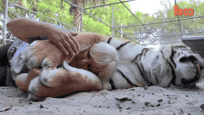 우리 애는 안 물어요.gif | 인스티즈