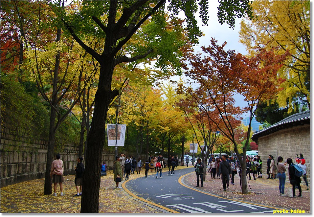 덕수 이미지