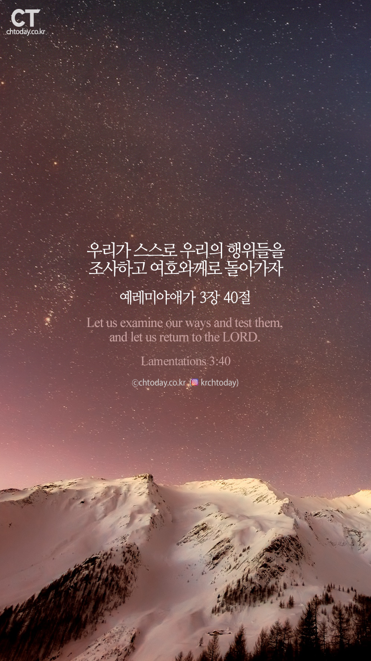 애가 이미지