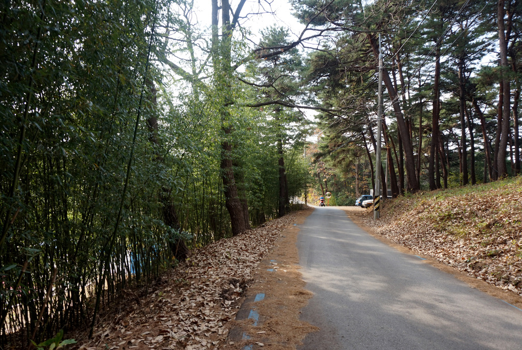 성덕초등학교 이미지