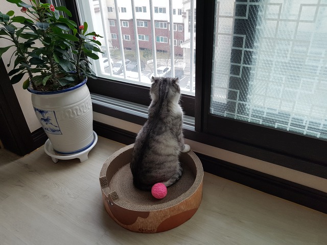 행복잡고 이미지