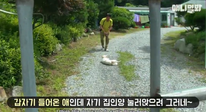 키워키우라고 vs 절대 안키울거라는 아저씨 | 인스티즈