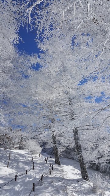 강산 이미지