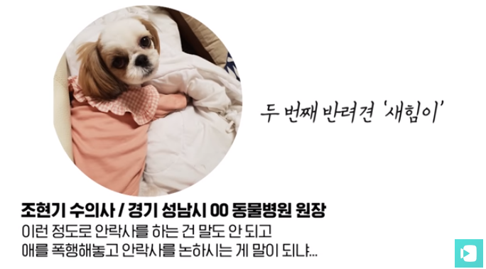 폭염 속 버려진 똘똘이가 모니로 개명한 사연 | 인스티즈