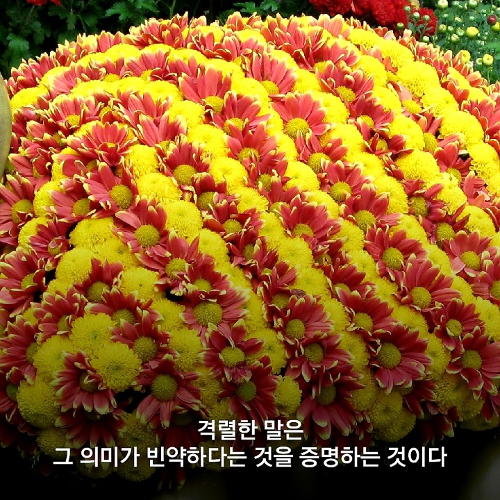 큰소리 이미지