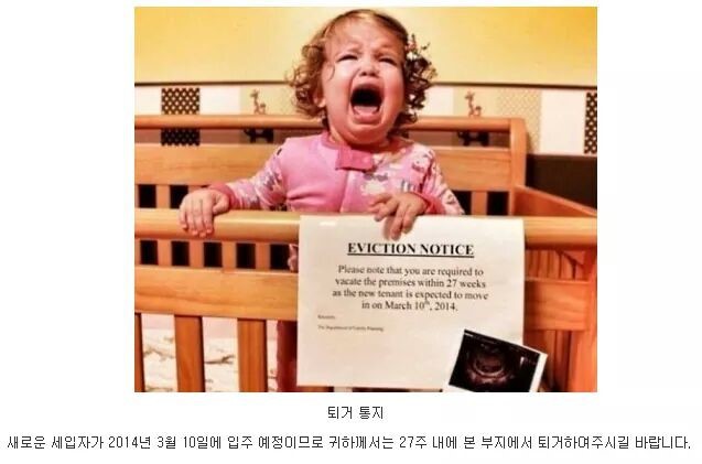 쫓겨나는 세입자.jpg | 인스티즈
