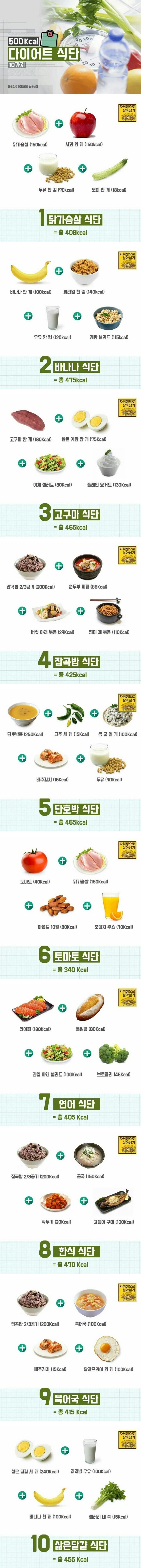 500Kcal 다이어트 식단 10가지 | 인스티즈