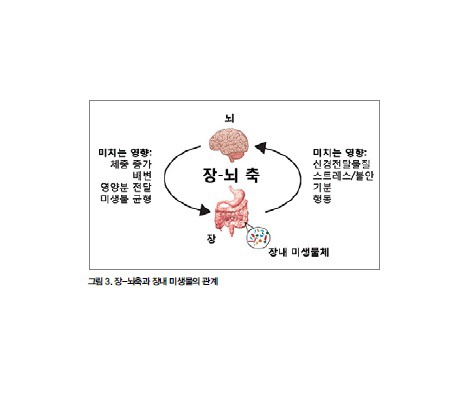 식약동원 이미지
