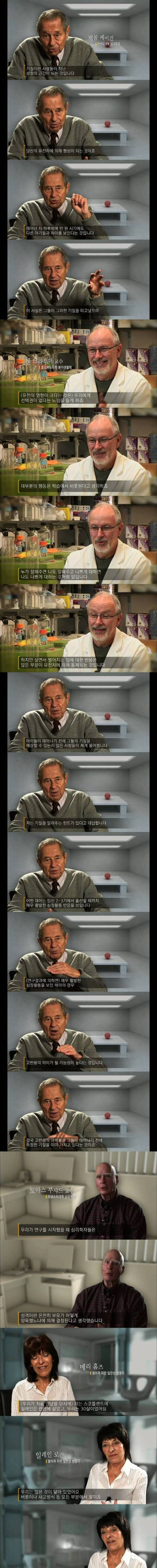 사람의 성격에 영향을 주는것 | 인스티즈