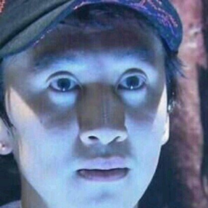 왠지모르게 익숙했던 인면조 | 인스티즈