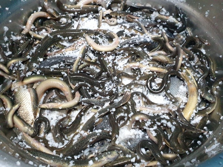 통발추어탕 이미지