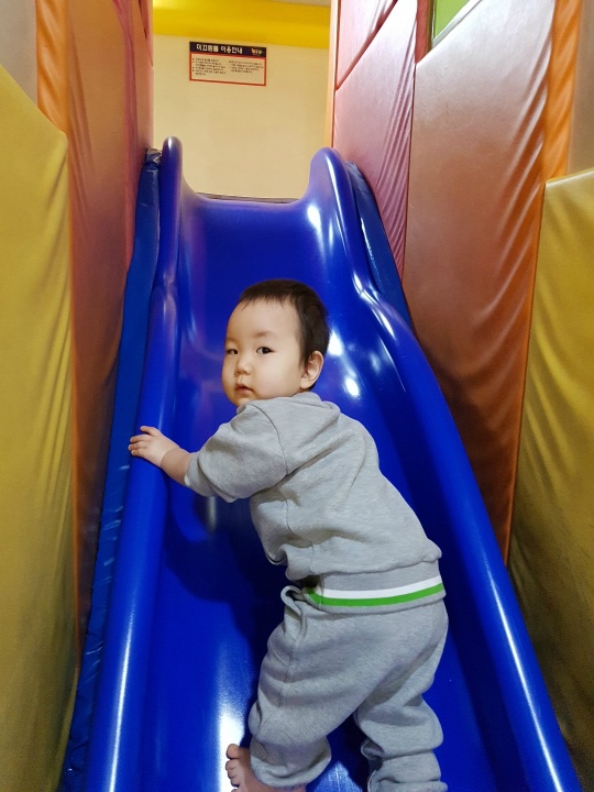 꼬물상 이미지