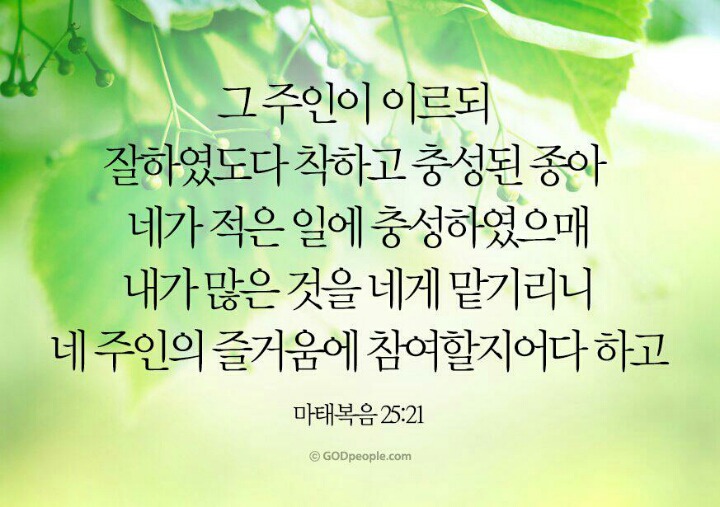 충성 이미지